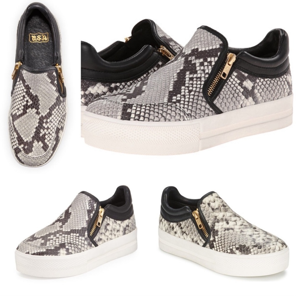 Ash Jordy Snake-Print Leather Sneaker Side Zipper Roccia & Black Size 40 US 10 - Picture 8 of 8